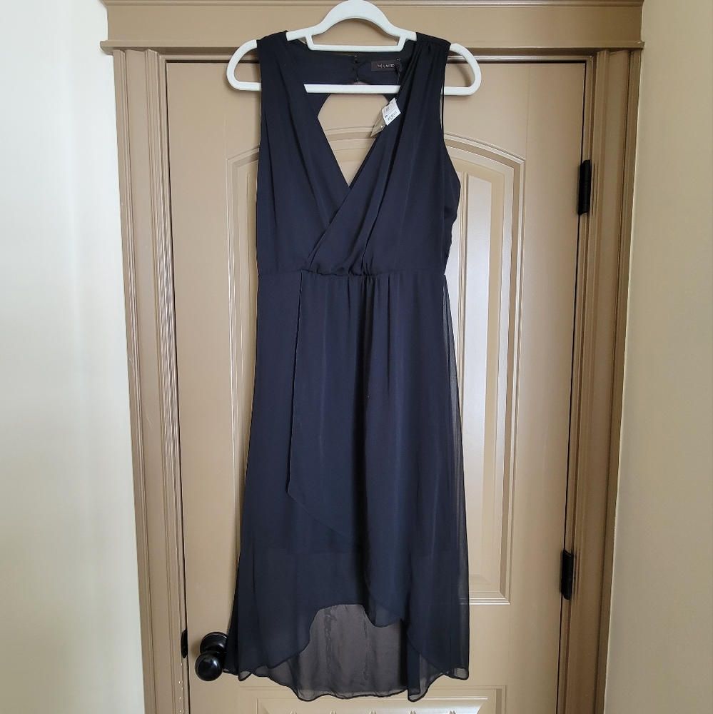 The Limited Express Black Chiffon Dress